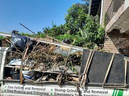 Best Dumpster Rental Services  in Capitan, NM